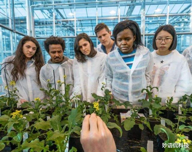 芯片|何止EUV光刻机！荷兰手中还有另一张王牌，一年狂赚7600亿