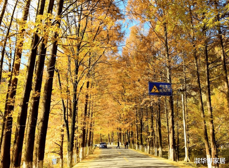 『』国内最美的4条自驾游道路，永吴公路时隐时现，最后两条截然不同