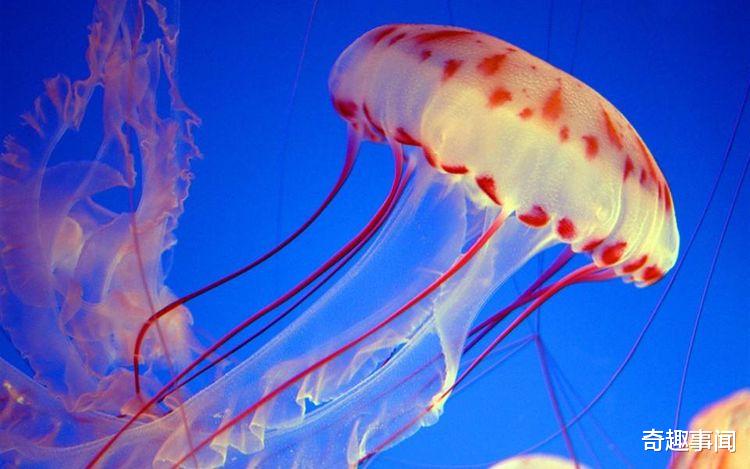 科学家@永生的下场极为惨痛，科学家表示，永生才是真正的绝望