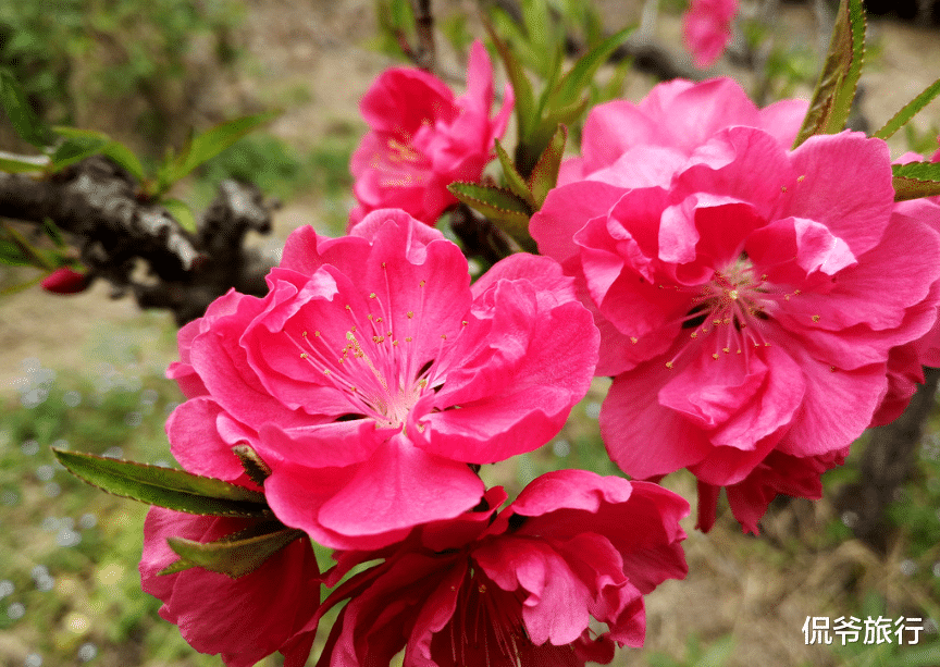 『摩羯座』财神爷点名！6月22号鸿运“了不得”的3大生肖，不富贵也做官！
