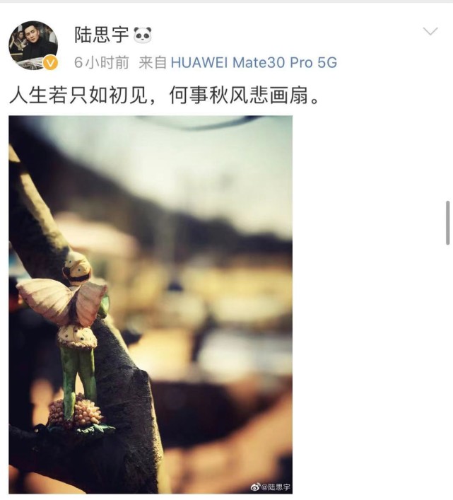 郑爽|传说中的郑爽初恋男友也发声了，短短14个字感叹“人心易变”