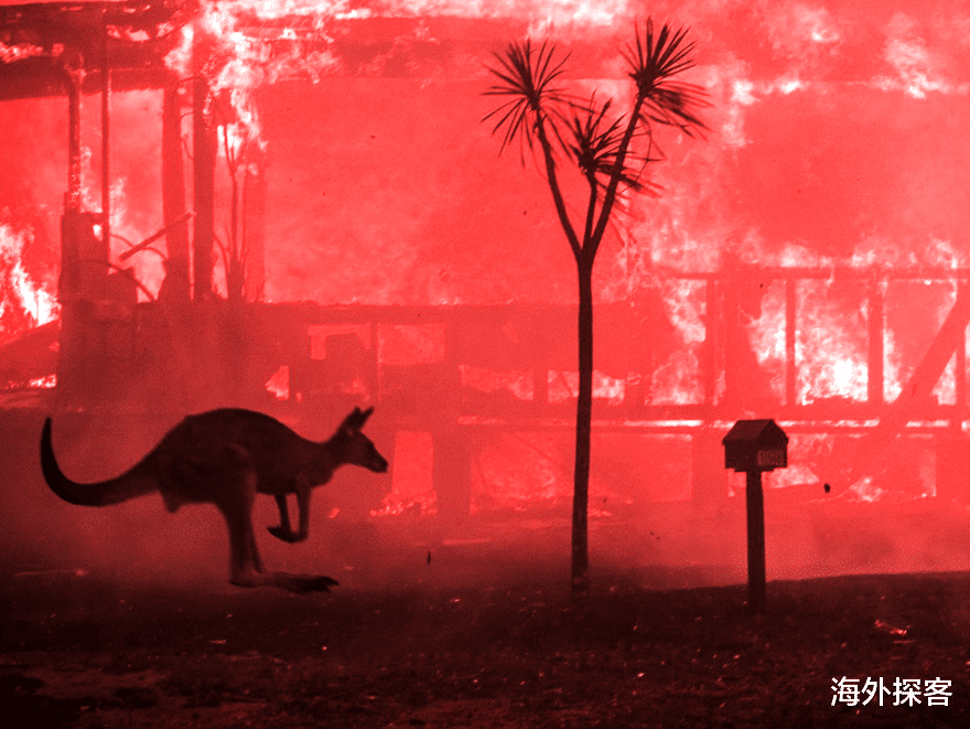 迪丽热巴：澳方仍未悔改，装没事一般要求扩大对华出口，结果迎来第4次打击