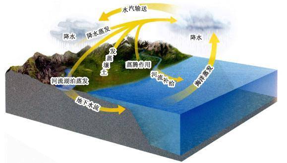猫头鹰|地球上曾经下过一场一百万年的雨，这是真的吗？