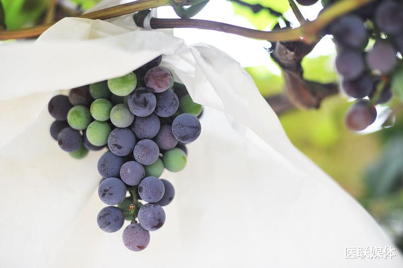 水果|提醒:女性经期,这4种水果可别多吃,不然就是找罪受