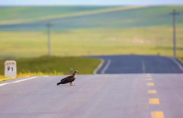 「自驾」强烈安利！国内14个能玩花样的小众旅行目的地，自驾1h起就能抵达
