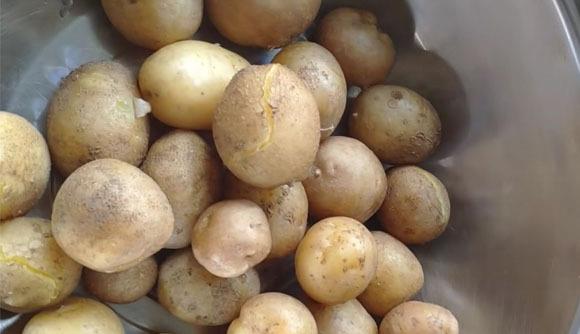 核桃|秋季，这菜正上市，才2毛多钱1斤，多买些一蒸一晒，冬季炒肉最香