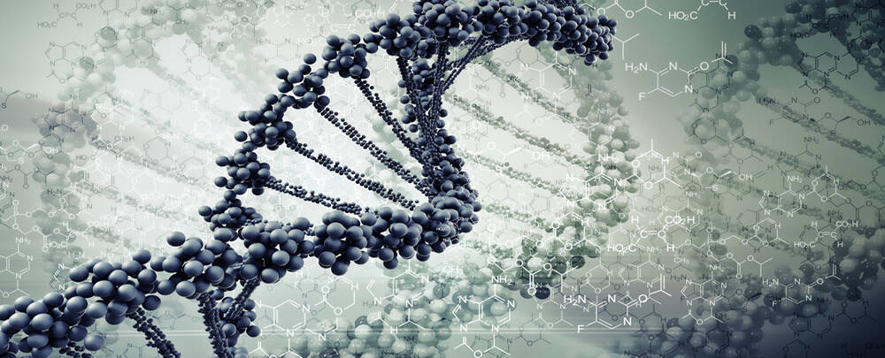 #基因#发现一基因变异猴子，上半身已进化成人类模样，它还能继续进化？