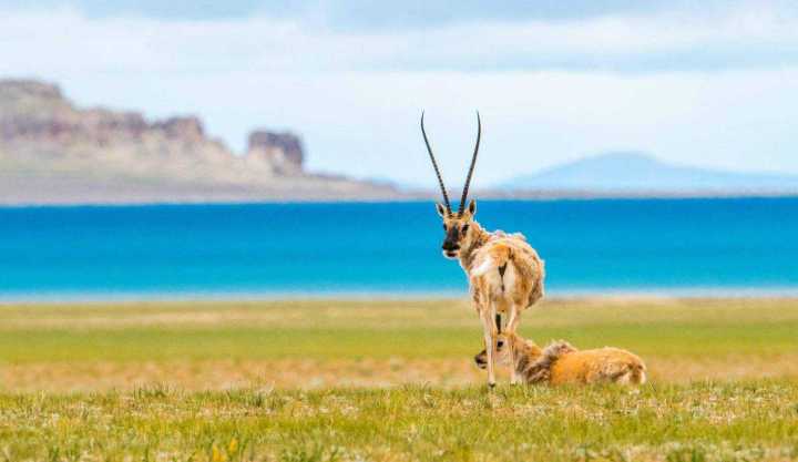 旅行|暑假旅行千万别来这9个地方，因为我怕你会不想回来！