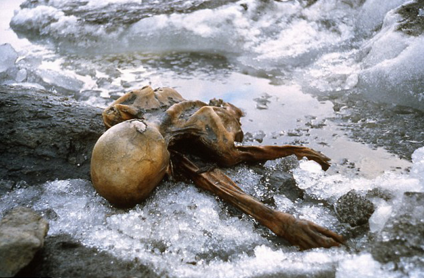 『蛋白质』沼泽地挖出2000年前头颅，没有丝毫腐烂，它怎么变成这样的？