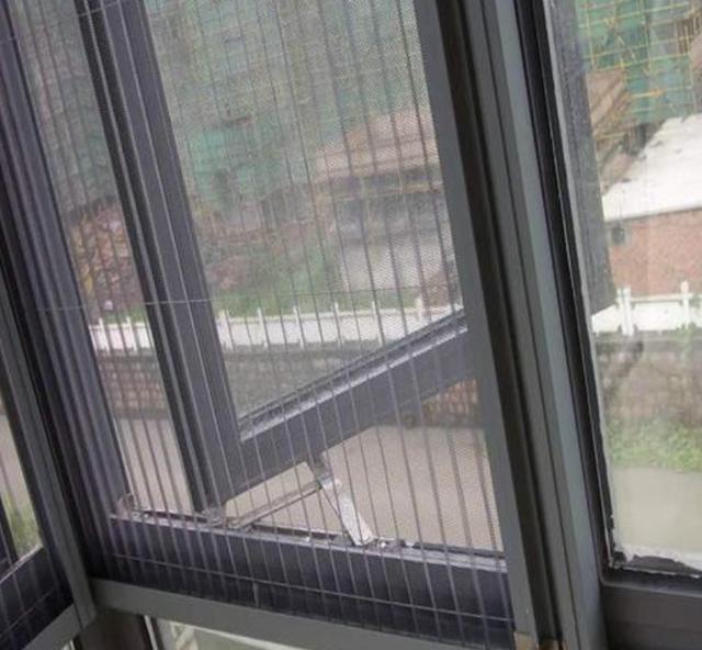 蚊子|夏天室内蚊虫真烦人，教你一招，把纱窗用它来代替，实用多了