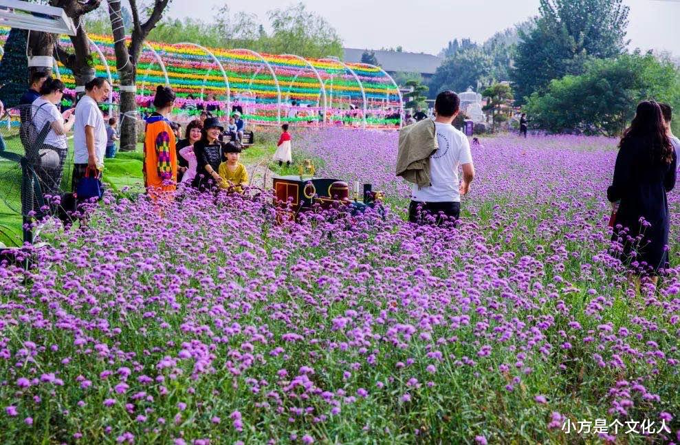 洛阳|洛阳某景点做免票宣传，游客到达后又被通知买票，不买亏买了更亏