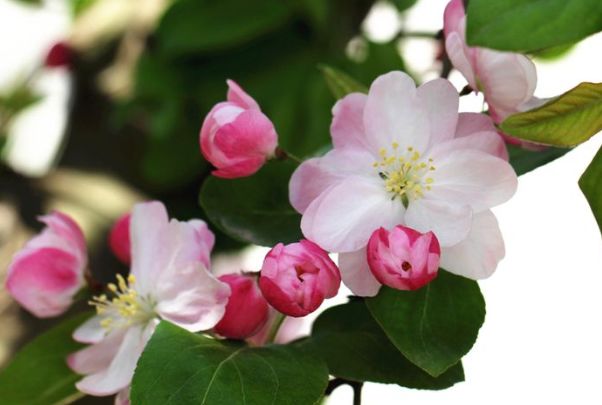 生肖|熬过8月“苦尽甘来”的4大生肖,发的都是大财,享的全是清福!