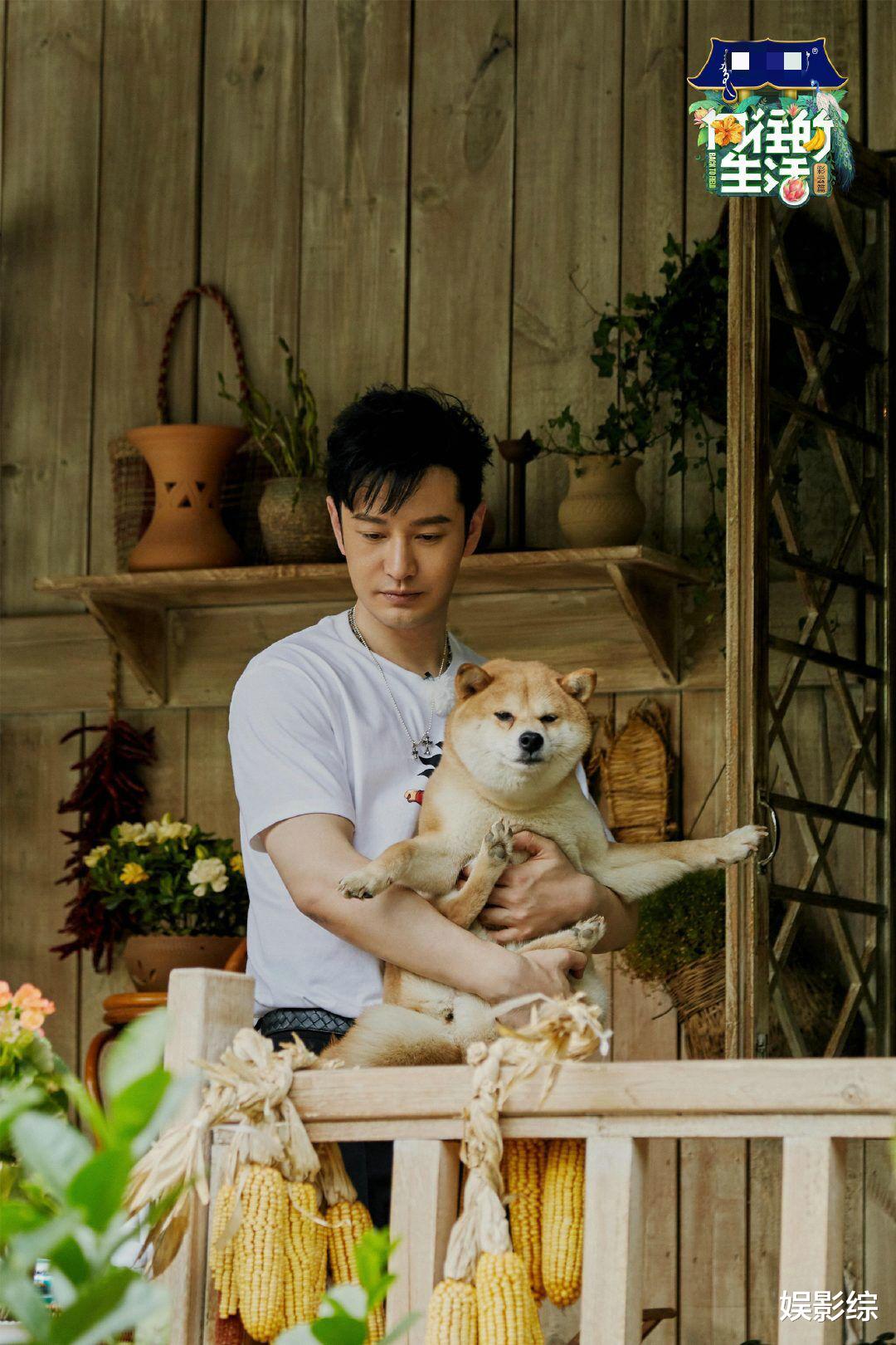 #黄晓明#《向往的生活》中黄晓明给何炅打伞，看到何炅的表情：黄晓明洗不白了