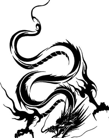 耶律阿保机|公元920年，辽太祖射死的 “黑龙”，究竟是什么动物？