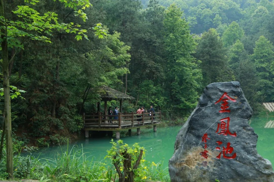 「重庆」在最美的季节,打卡主城隐秘的净土