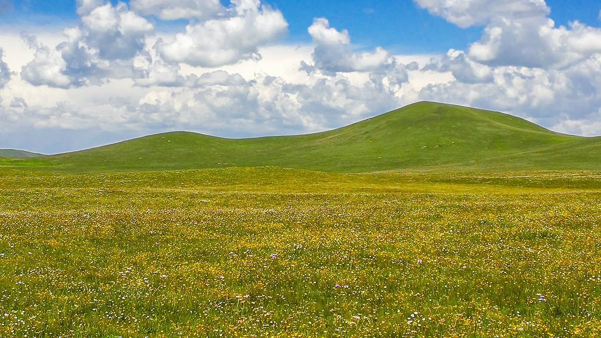 甘南|这些照片，很甘南！