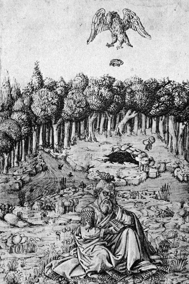 『』以骨头为食的胡兀鹫,体型巨大的猛禽,经历过黑暗的童年