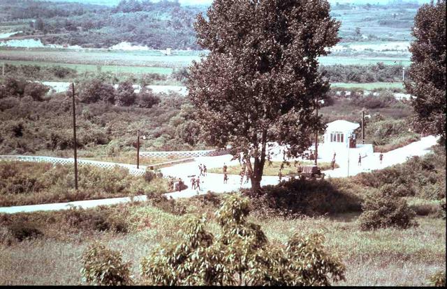 1976年，美軍為瞭砍掉一棵白楊樹，險些引發第二次朝鮮戰爭-圖2
