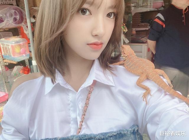 天舞纪|《天舞纪》刚播，许凯又一新剧来袭，看到女主后：收视率稳了！