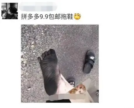 拼多多|拼多多的发展必须面临问题