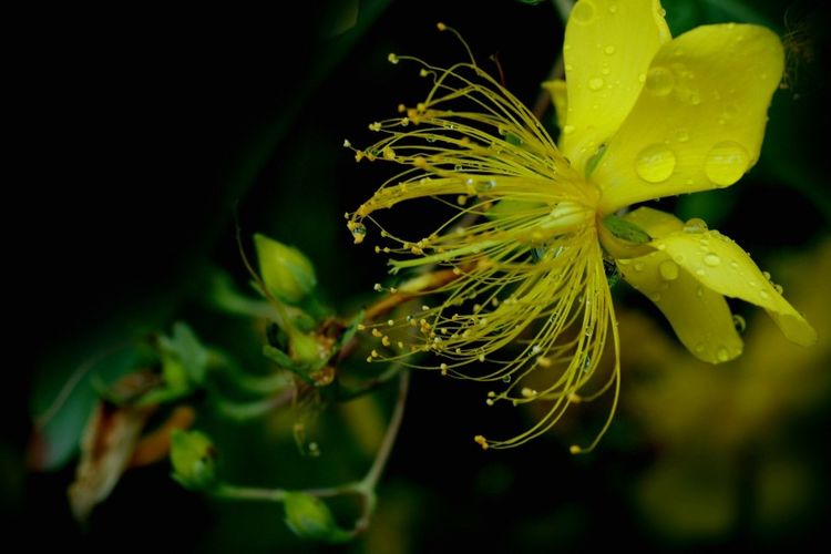 生肖|9月份开始，天降亨通，财运走俏，真爱就是灯火阑珊处的4大星座