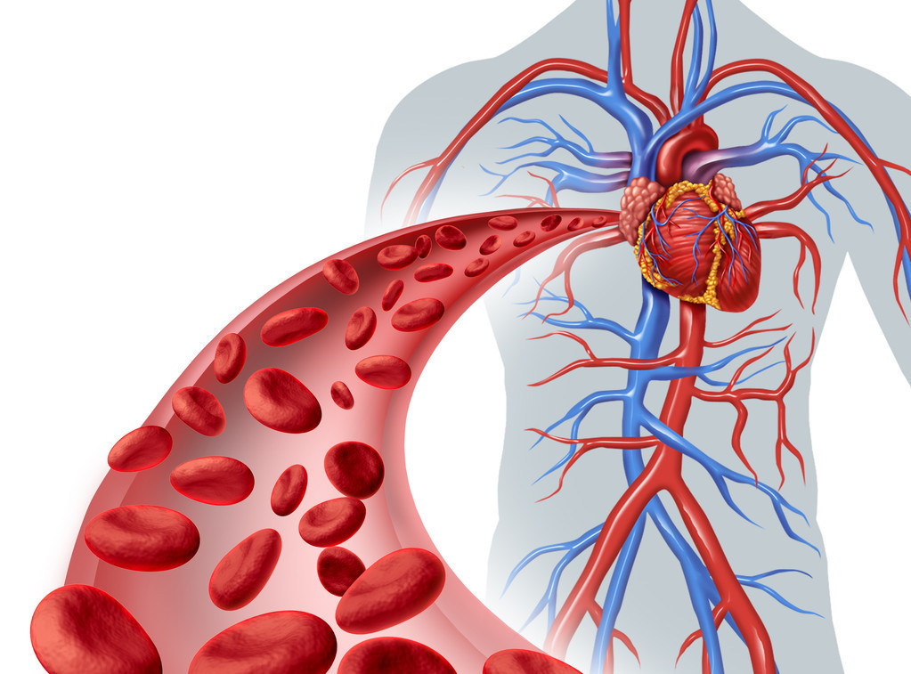 #高血脂#6种天然“降血脂”食物，每天换着吃，或能清血管，远离高血脂