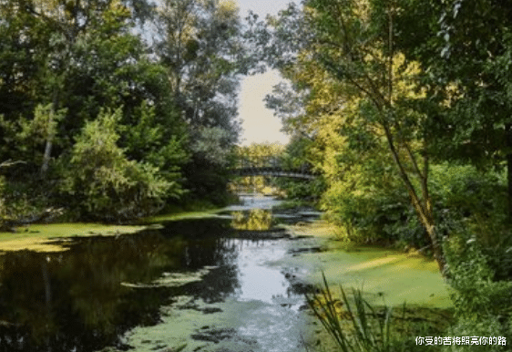 |未来十天，4属相好运多，欢乐多，惊喜不断，富贵十足，福禄双全