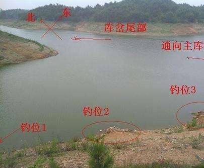 |自然水域钓鱼，6大技巧助你提高野钓上钩率