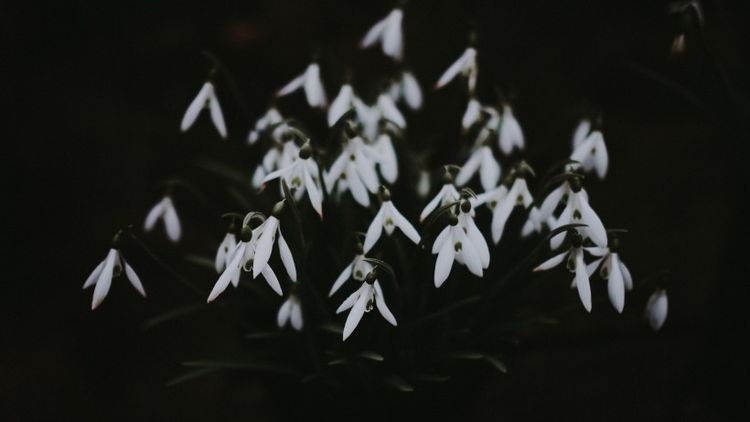 生肖|近期不会主动追求爱情的4大生肖,性格倔强,面对感情容易退缩!