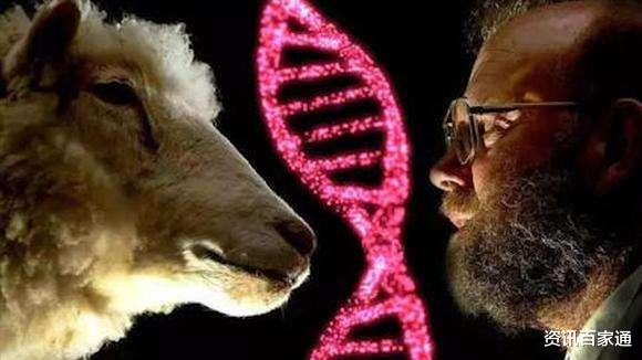 「」当年的第一只成功的克隆羊“多莉”，后来怎么样了？看完后出一身冷汗