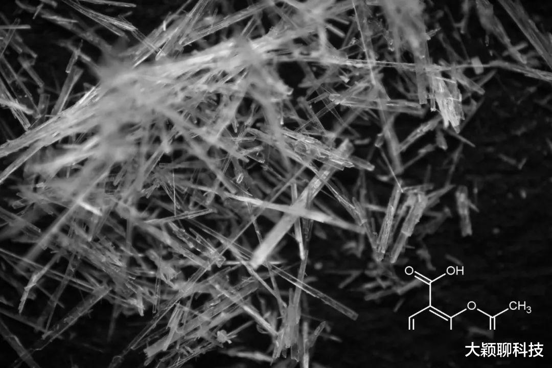 科学家|人类长出新器官， 3个世纪来首次发现，未来人会进化成什么样？