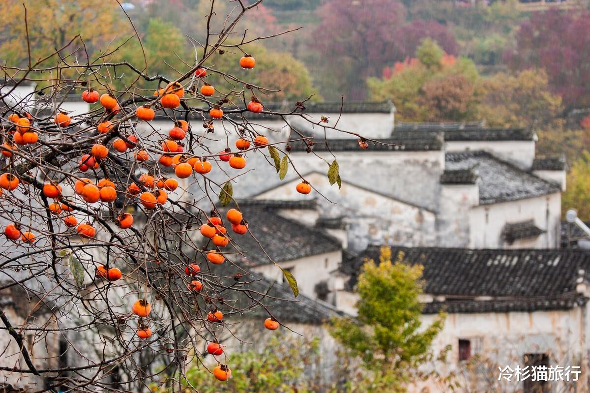 浙江省|国内值得去的22个古村落，去过10个已算旅游达人！