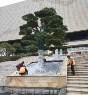 光明网视频 贵阳街头绿植 穿上“冬衣”御寒