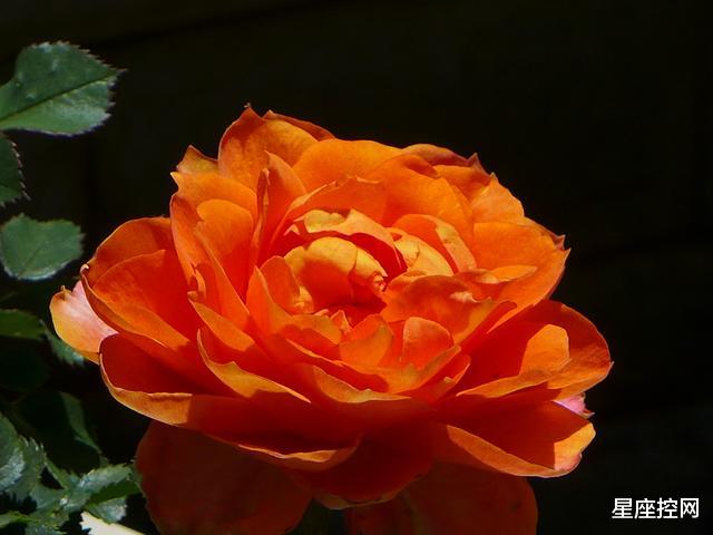 #双子座#相处时间越长，就越不容易先提出分手的三大星座，感情稳定长久