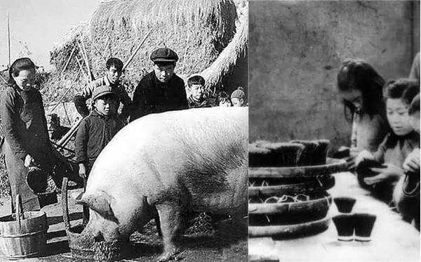 ##二战期间,中国猪毛成为A级战略物资,被美国视为与军火等价
