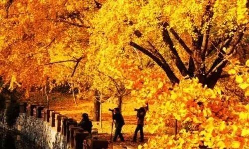 [天山]柞水 | 一个来了不想走，走了还想再来的地方