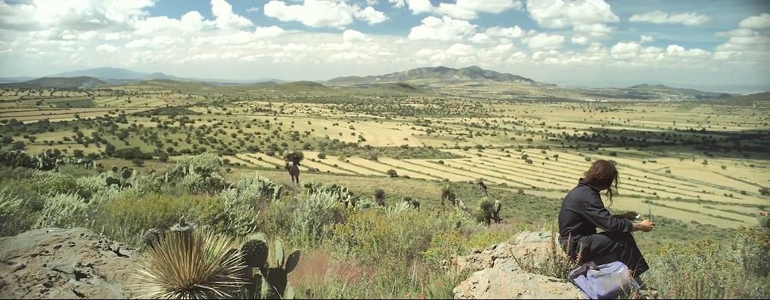 格雷:这五部科幻电影你看过吗?--冷门电影推荐