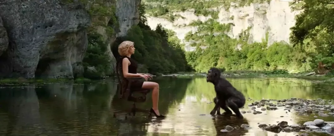 超体|看懂《超体》，你的修行已成功一半