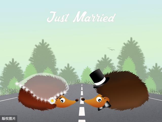 『』为什么说不要和领导走的太近？人际交往的重要法则：刺猬理论