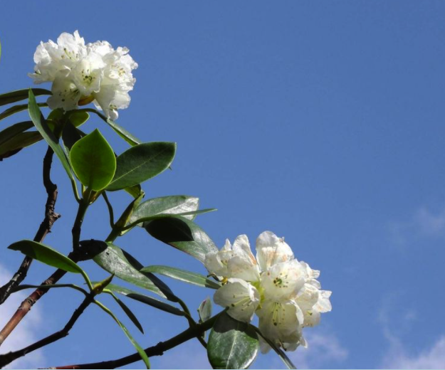 海螺沟：醉美川西！康定至海螺沟赏瀑布遗憾没能见着贡嘎雪山