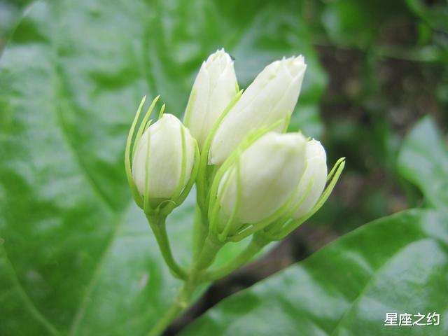 生肖|在8月份，重拾旧爱，回心转意，握手言和的三大星座