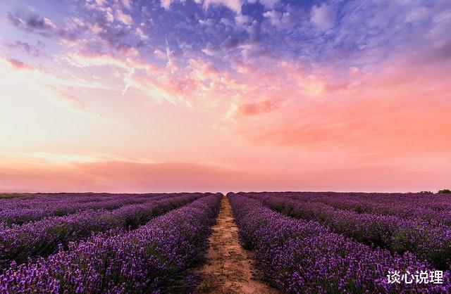 「生肖」15天后,正缘降临,桃花等候,3星座邂逅挚爱,此生注定情深