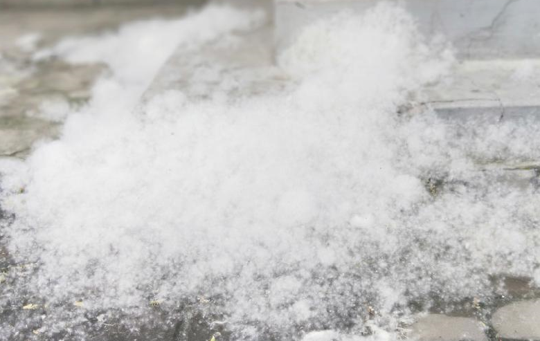 大连：它又来了！大连人近期出门千万注意