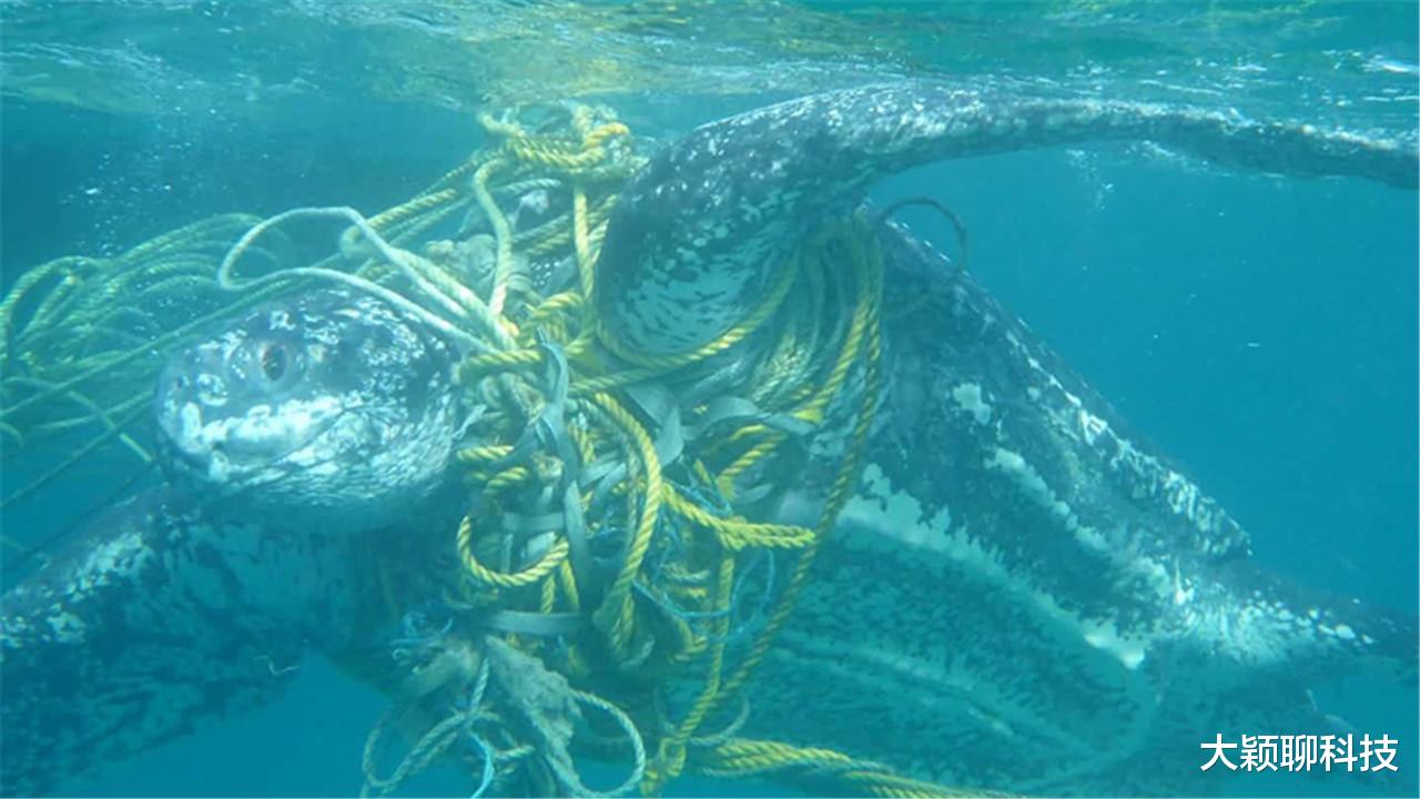 卫星|美国卫星传来照片,“新大陆”慢慢靠近中国,面积约1200个香港!