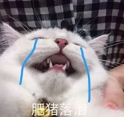 『漫威』蜘蛛侠朋友回归漫威，未来可能将会成为复联领头人！