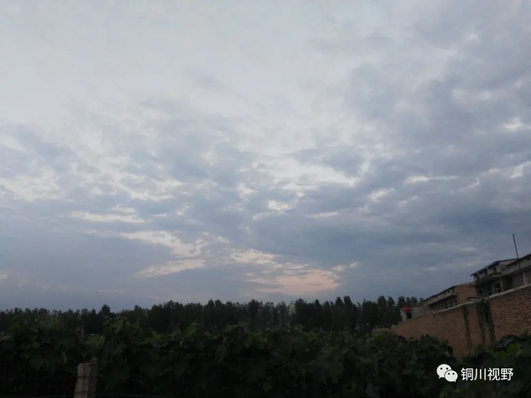 铜川周春辉 终南山下美丽乡村，余下镇后寨村