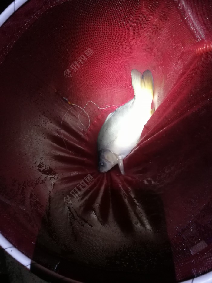 饵料|新车新鞋新头灯新配方，大鱼小鱼齐入护