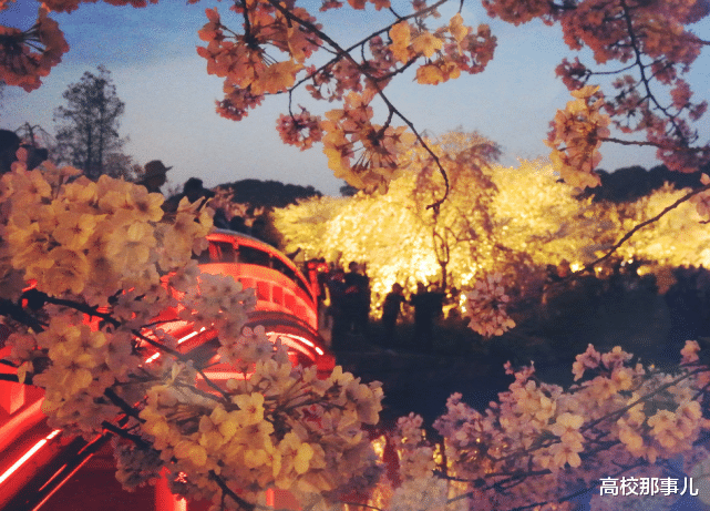 高校|985高校最新排名出炉，这几所综合实力强，分数还不高，抓紧捡漏