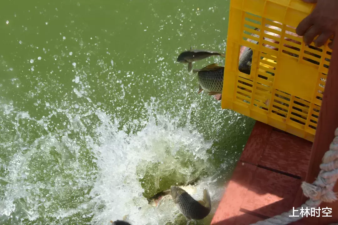 上林|过瘾!200名垂钓高手集聚上林!究竟谁才是大师?