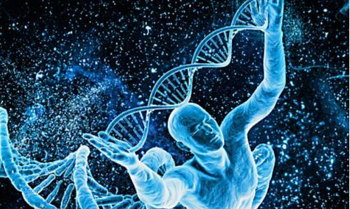 [灯塔水母]如果某一天你获得了永生不老的能力，但有一个副作用就是你身体每天会随机出现一个无法恢复的伤口，你会怎么做